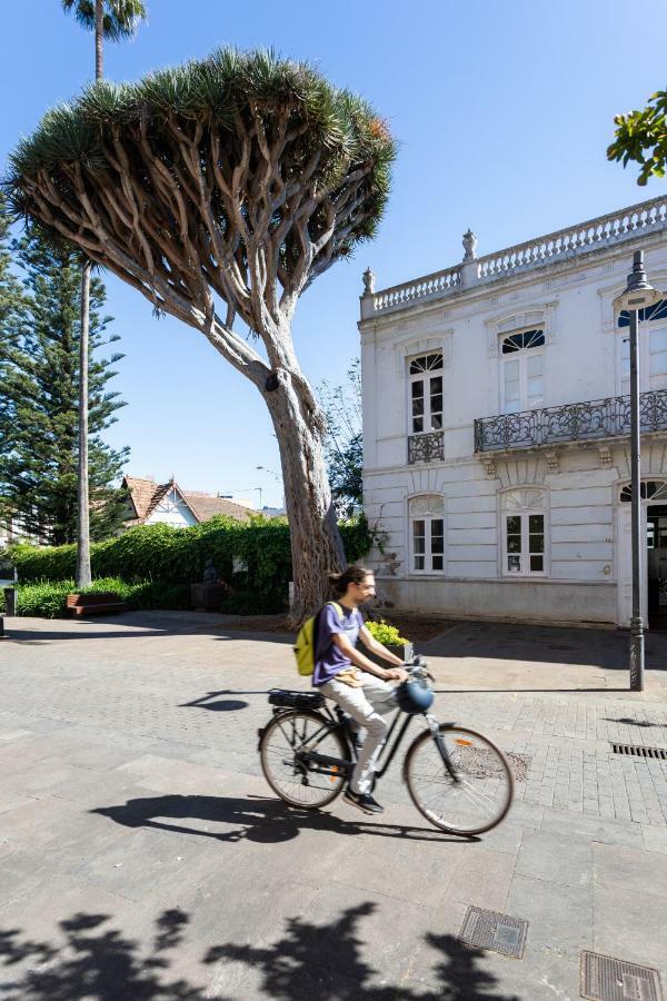 Casa Esperanto Daire La Laguna  Dış mekan fotoğraf